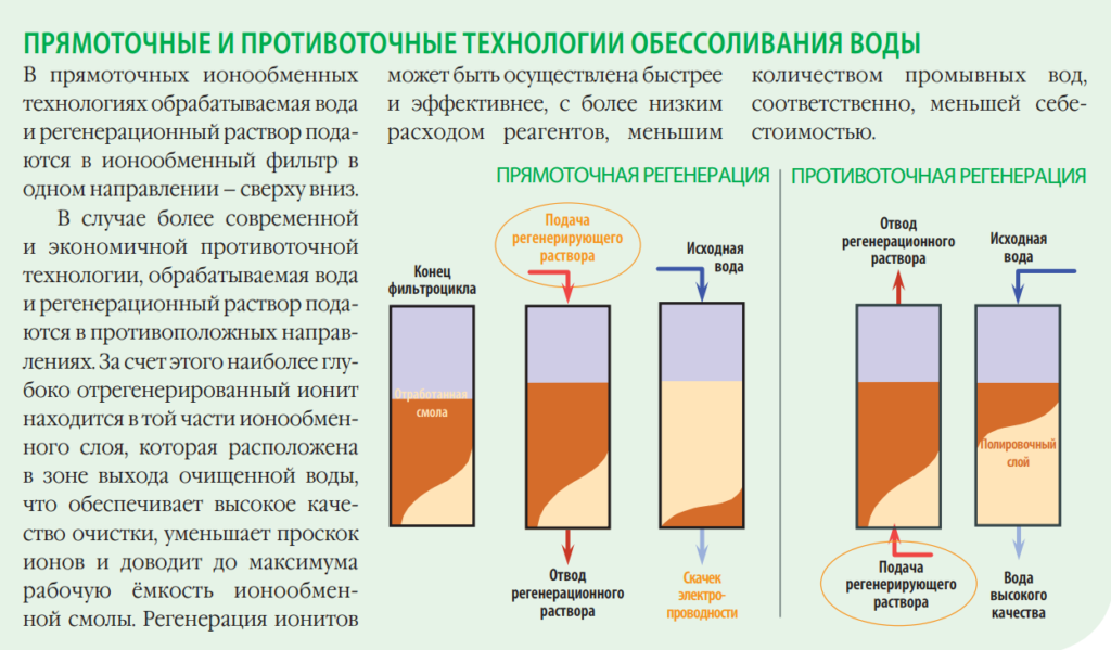 Механизмы приспособления к недостатку воды вида показанного на рисунке являются примером адаптации