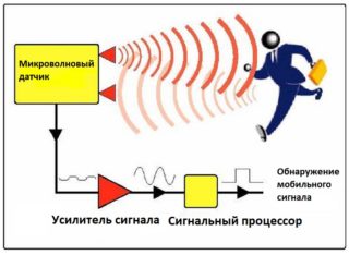 Устройство и характеристики микроволнового датчика движения