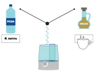 Чистка увлажнителя воздуха от накипи и плесени в домашних условиях