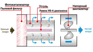 Какие очистители воздуха лучше выбрать для аллергика или астматика