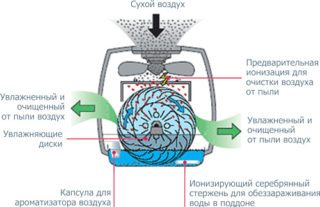 Какие очистители воздуха лучше выбрать для аллергика или астматика