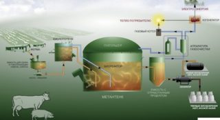 Строительство биогазовой установки для частного дома своими руками