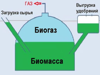 Способы переработки навоза в биогаз в домашних условиях