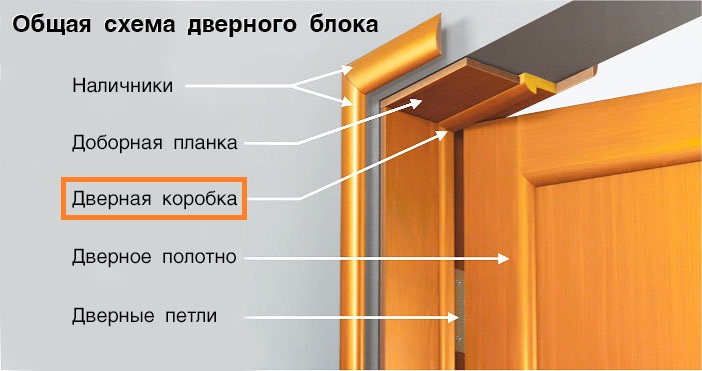 Дверная коробка: стандартные размеры входных и межкомнатных дверей .