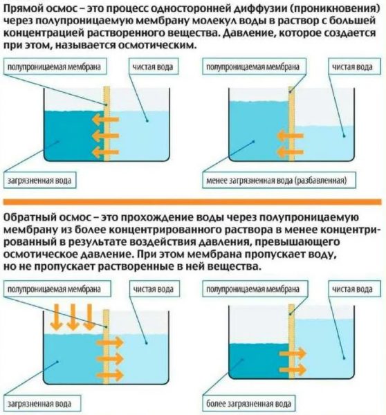 Обратный осмос принцип работы схема