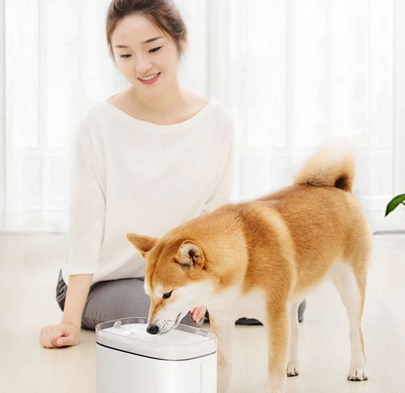 поилка для собак и кошек Xiaomi Kitten&Puppy Pet Water Dispenser